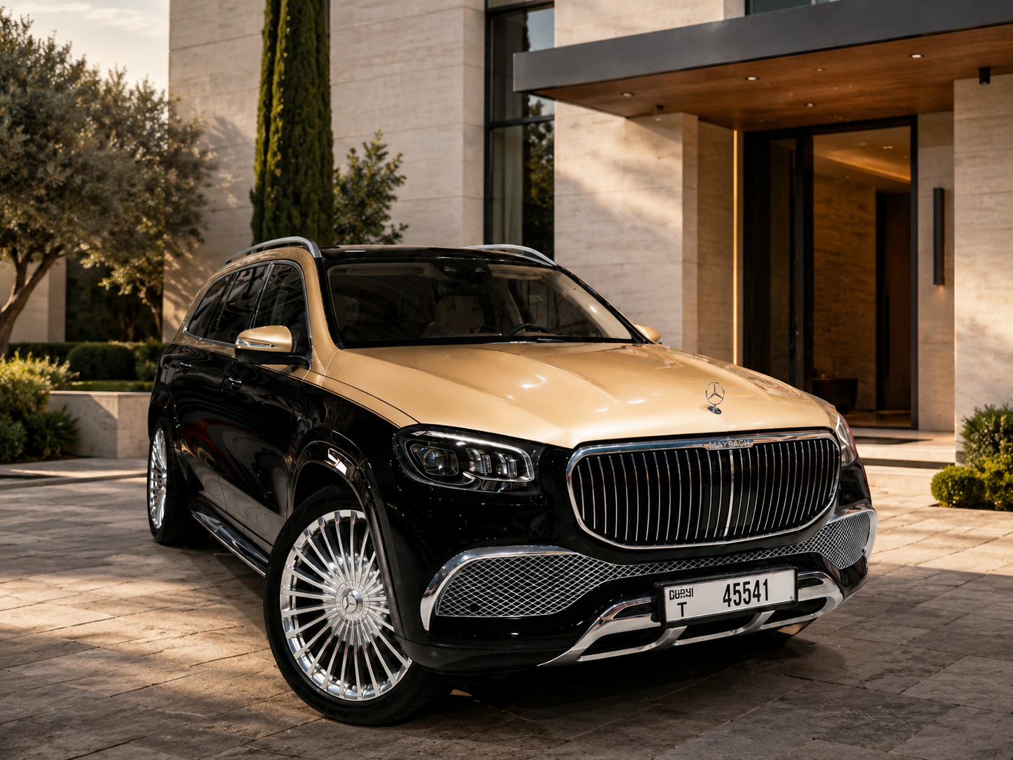 Premium chauffeur vehicle