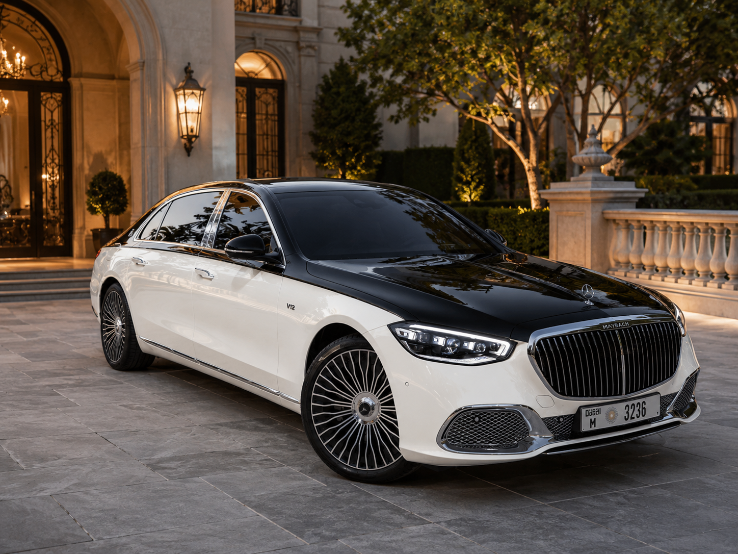 Luxury private driver vehicle